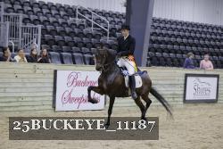 25BUCKEYE_11187 thumbnail