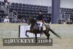 25BUCKEYE_11188 thumbnail