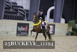 25BUCKEYE_11194 thumbnail