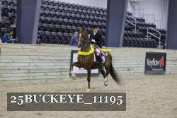 25BUCKEYE_11195 thumbnail