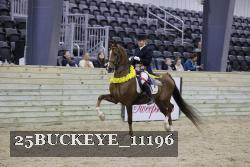 25BUCKEYE_11196 thumbnail