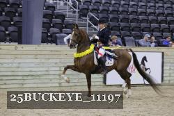 25BUCKEYE_11197 thumbnail