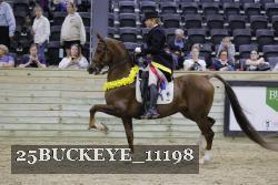 25BUCKEYE_11198 thumbnail