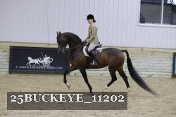 25BUCKEYE_11202 thumbnail