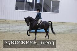 25BUCKEYE_11203 thumbnail