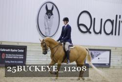 25BUCKEYE_11208 thumbnail