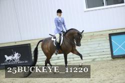 25BUCKEYE_11220 thumbnail