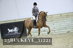 25BUCKEYE_11221 thumbnail