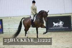 25BUCKEYE_11222 thumbnail