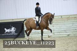 25BUCKEYE_11223 thumbnail