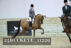 25BUCKEYE_11229 thumbnail