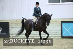 25BUCKEYE_11230 thumbnail