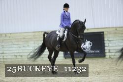 25BUCKEYE_11232 thumbnail