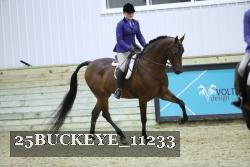 25BUCKEYE_11233 thumbnail