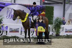 25BUCKEYE_11237 thumbnail