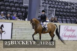 25BUCKEYE_11243 thumbnail