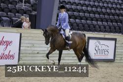 25BUCKEYE_11244 thumbnail