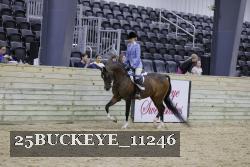 25BUCKEYE_11246 thumbnail
