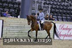 25BUCKEYE_11250 thumbnail