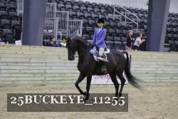 25BUCKEYE_11255 thumbnail