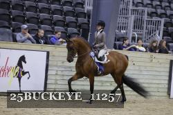 25BUCKEYE_11257 thumbnail