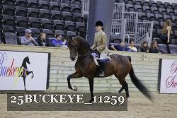 25BUCKEYE_11259 thumbnail