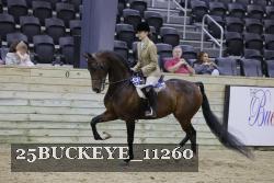 25BUCKEYE_11260 thumbnail
