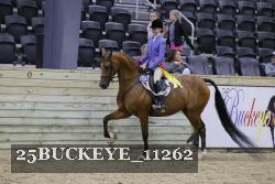 25BUCKEYE_11262 thumbnail