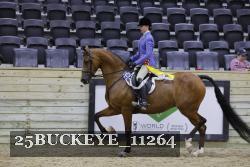 25BUCKEYE_11264 thumbnail