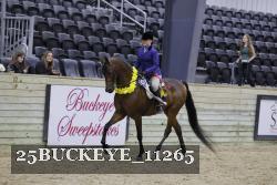 25BUCKEYE_11265 thumbnail