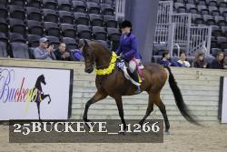 25BUCKEYE_11266 thumbnail