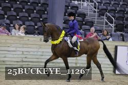25BUCKEYE_11267 thumbnail