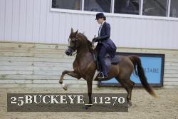 25BUCKEYE_11270 thumbnail