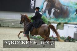 25BUCKEYE_11275 thumbnail