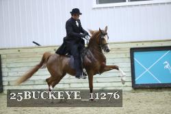 25BUCKEYE_11276 thumbnail