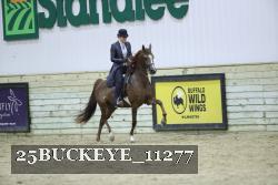 25BUCKEYE_11277 thumbnail