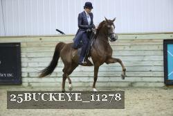 25BUCKEYE_11278 thumbnail