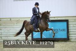 25BUCKEYE_11279 thumbnail