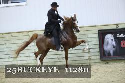 25BUCKEYE_11280 thumbnail