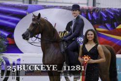 25BUCKEYE_11281 thumbnail