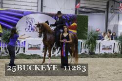 25BUCKEYE_11283 thumbnail