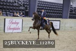 25BUCKEYE_11289 thumbnail