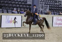25BUCKEYE_11290 thumbnail