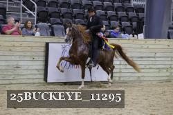 25BUCKEYE_11295 thumbnail