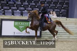 25BUCKEYE_11296 thumbnail