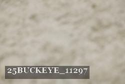 25BUCKEYE_11297 thumbnail