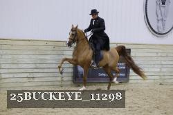 25BUCKEYE_11298 thumbnail