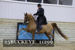 25BUCKEYE_11299 thumbnail
