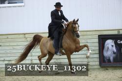 25BUCKEYE_11302 thumbnail