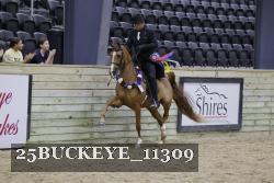 25BUCKEYE_11309 thumbnail